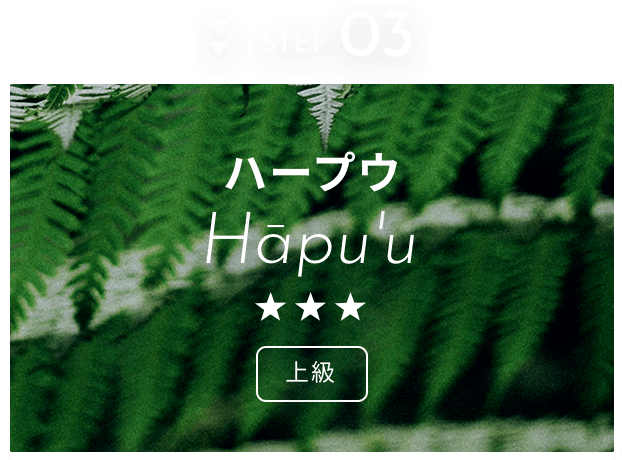 アロハプログラムについて ハワイ州観光局公式ラーニングサイト アロハプログラムについて ハワイ州観光局公式ラーニングサイト