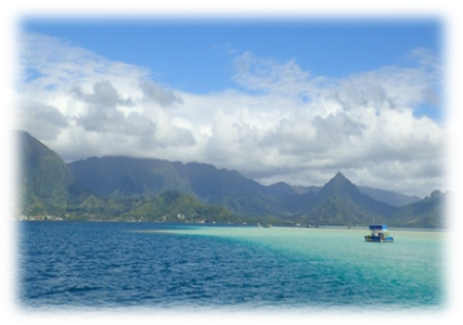 サンドバー をご存じですか ハワイ州観光局公式ラーニングサイト