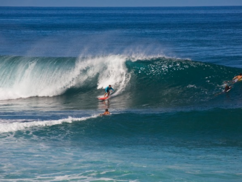 サーフィン｜ハワイ州観光局公式ラーニングサイト